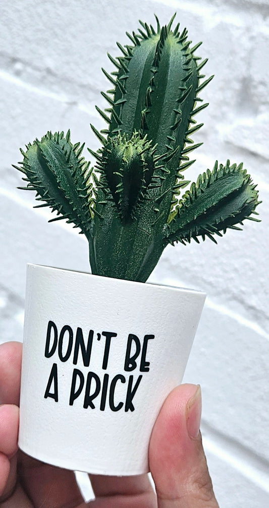 Don't be a.. Faux cactus
