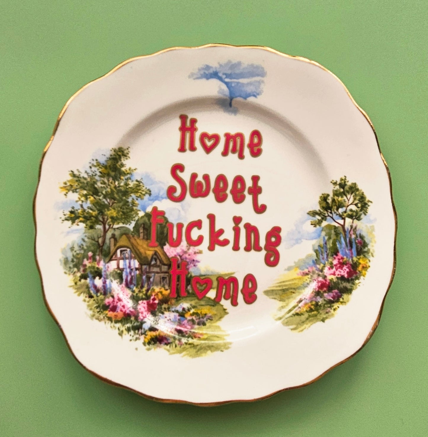 Home Sweet F'n Home Wall Plate